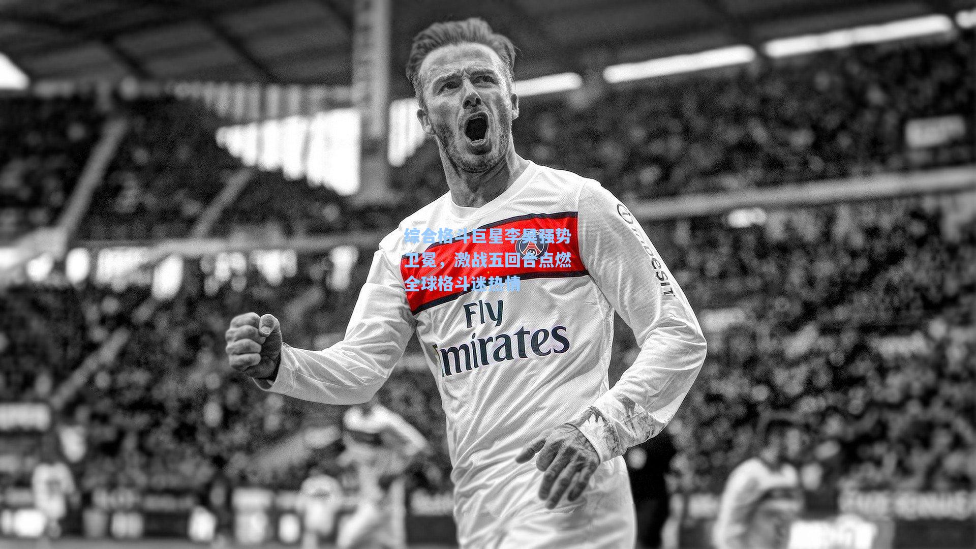 综合格斗巨星李昊强势卫冕，激战五回合点燃全球格斗迷热情